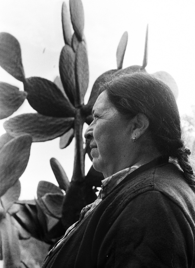 foto:Daniela Bravo Santos - lo hecho en México