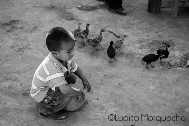 foto:María Guadalupe Morquecho Cornejo - lo hecho en México