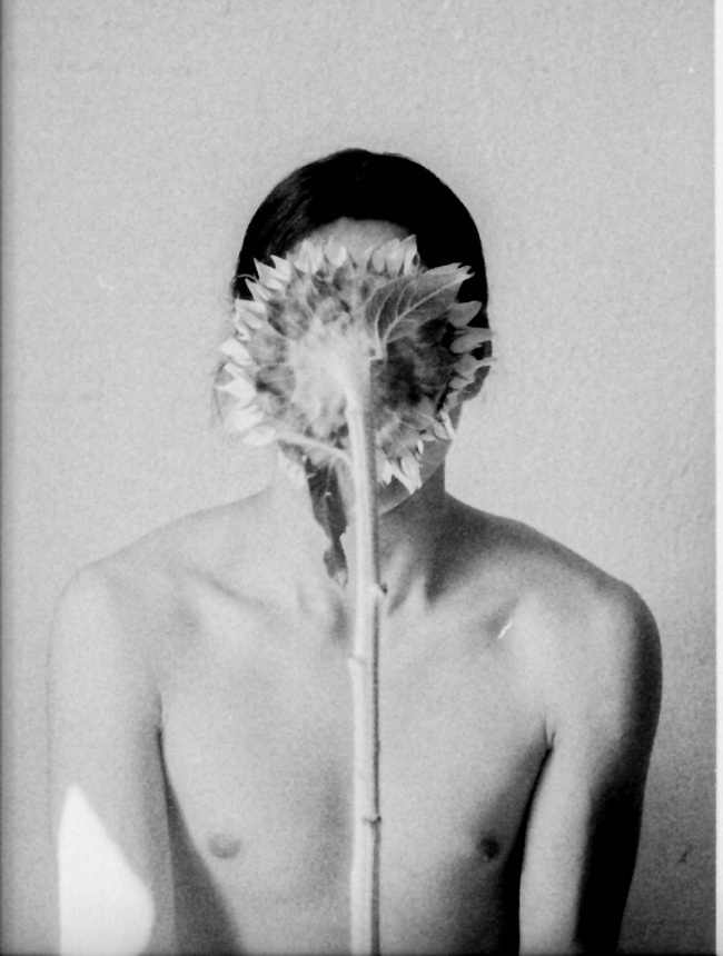 foto:Anashely Fernanda Elizondo Corres  - lo hecho en México