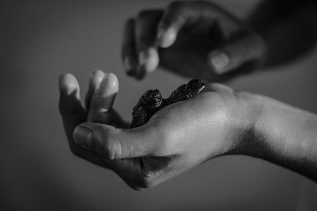 foto:Francisco Ismael  Arriega Jimenez - lo hecho en México