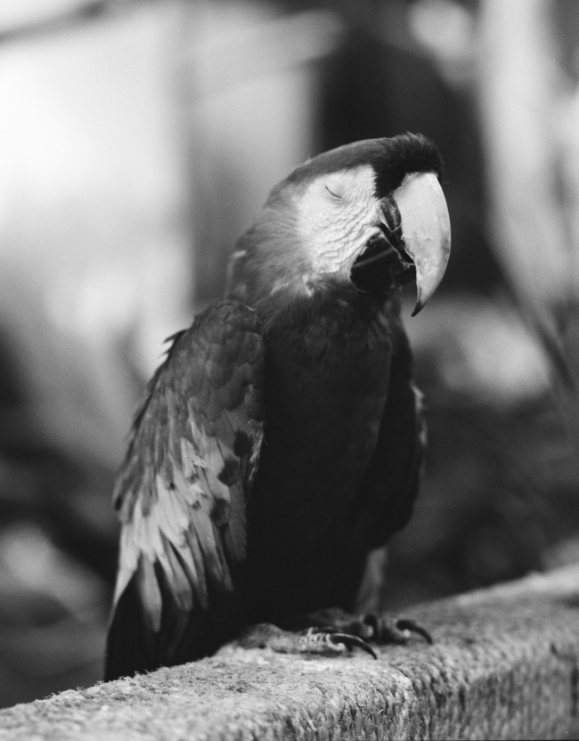 foto:Carlos Alberto Gonzalez Cavazos - lo hecho en México