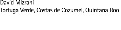 David Mizrahi Tortuga Verde  Costas de Cozumel  Quintana Roo