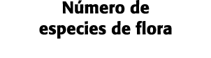 N mero de especies de flora