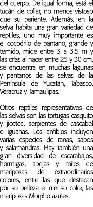 del cuerpo  De igual forma  est  el tuc n de collar  no menos vistoso que su pariente  Adem s  en la selva habita una   