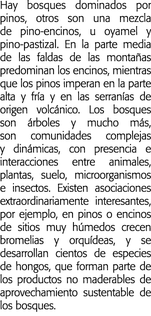 Hay bosques dominados por pinos  otros son una mezcla de pino-encinos  u oyamel y pino-pastizal  En la parte media de   