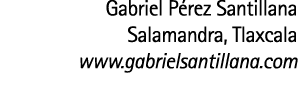Gabriel P rez Santillana Salamandra  Tlaxcala www gabrielsantillana com
