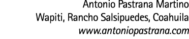 Antonio Pastrana Martino Wapiti  Rancho Salsipuedes  Coahuila www antoniopastrana com