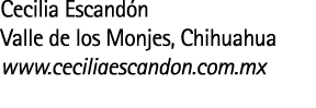 Cecilia Escand n Valle de los Monjes  Chihuahua www ceciliaescandon com mx