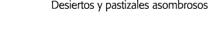 Desiertos y pastizales asombrosos