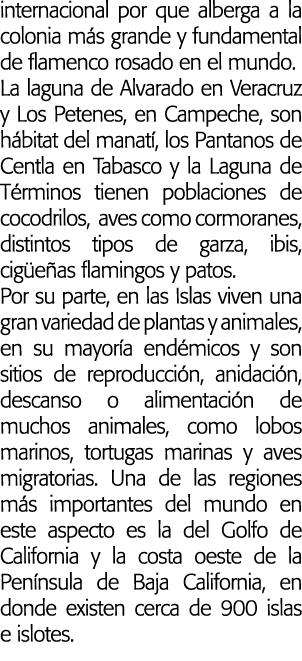 internacional por que alberga a la colonia m s grande y fundamental de flamenco rosado en el mundo  La laguna de Alva   