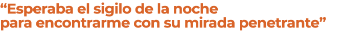  Esperaba el sigilo de la noche para encontrarme con su mirada penetrante  