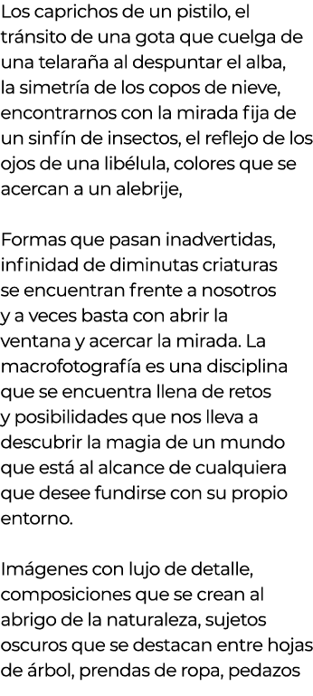 Los caprichos de un pistilo  el tr nsito de una gota que cuelga de una telara a al despuntar el alba  la simetr a de    