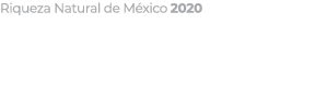 Riqueza Natural de M xico 2020