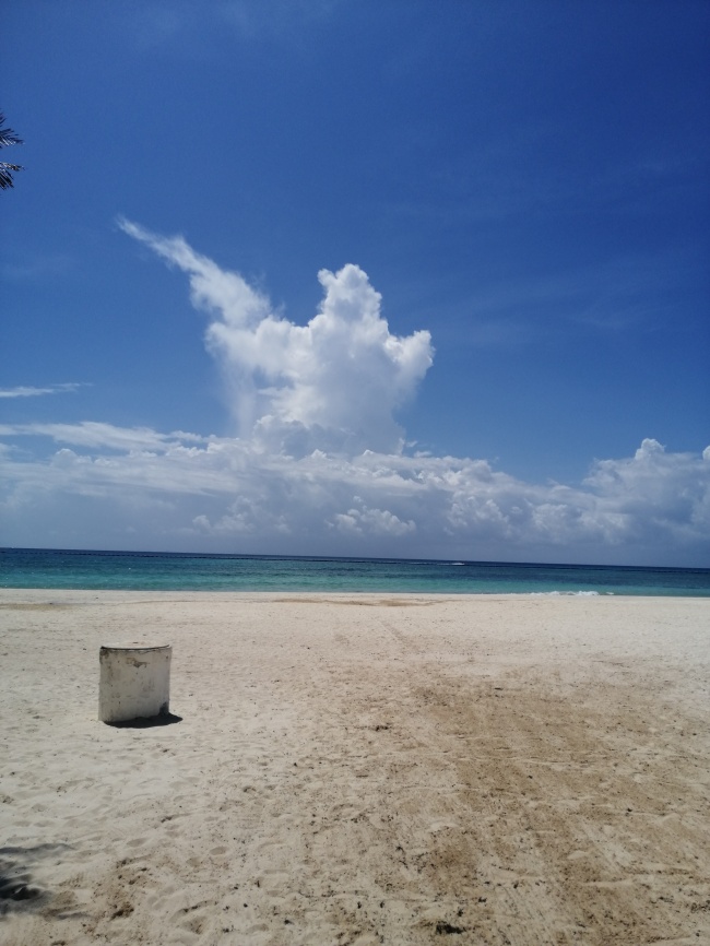 foto:Daniela Emilse Pardo Arenas  - lo hecho en México