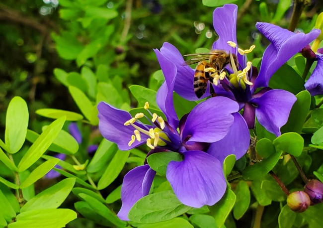 foto:Rudy Mendoza  - lo hecho en México