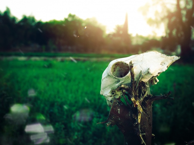 foto:Blaze Martínez Sánchez  - lo hecho en México