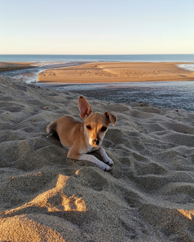 Jessica Alejandra Luna Suaste 