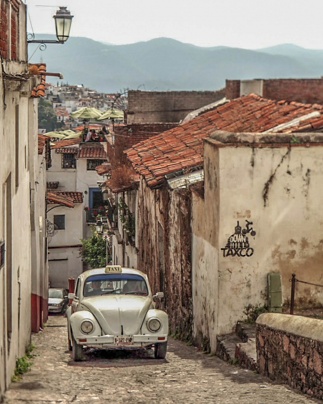 María Gabriela Ibarra Cervantes 