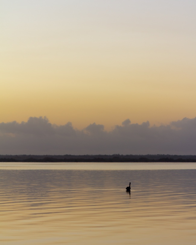 foto:Francisco Sagle  - lo hecho en México