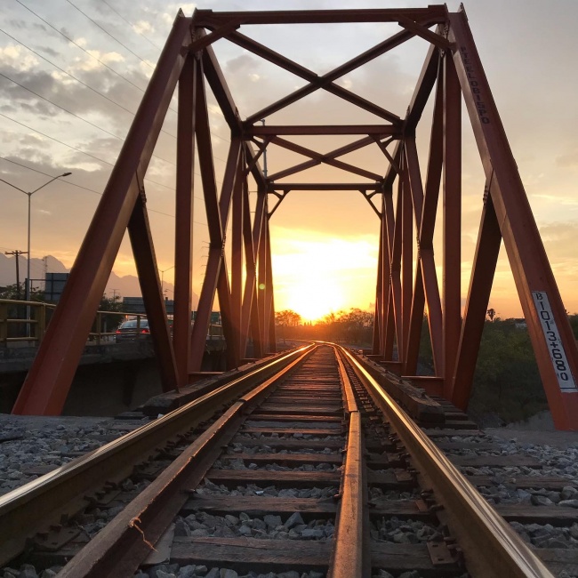 Guadalupe Lemus Pérez 