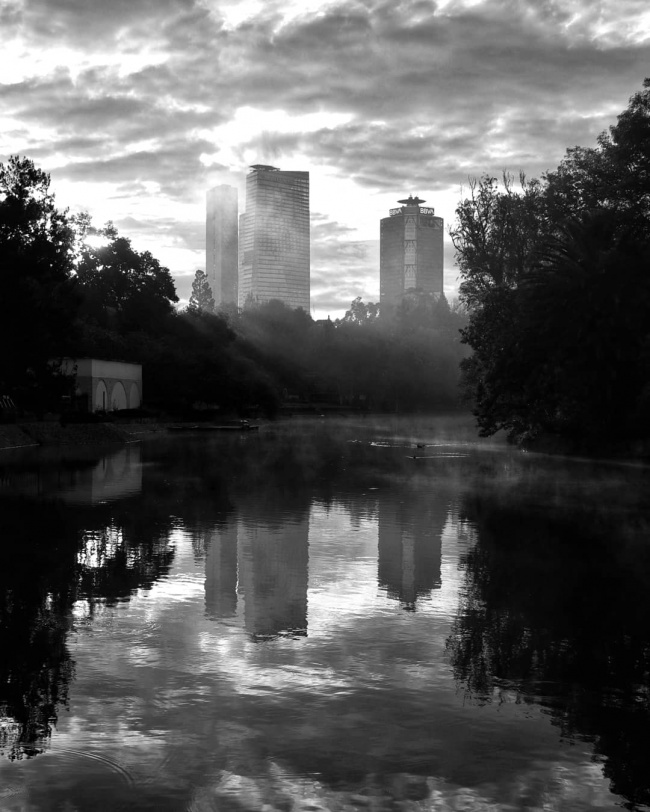 Colibrí Tirado Muñoz 