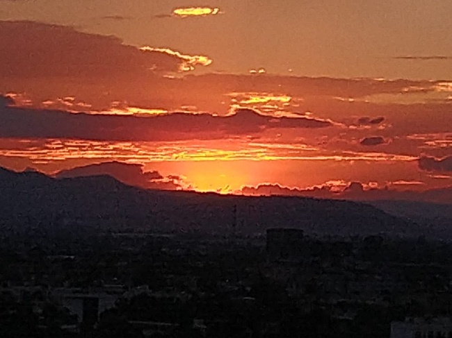 Rosa Martha Carmona García 