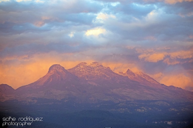 Jorge Rodríguez Carmona 