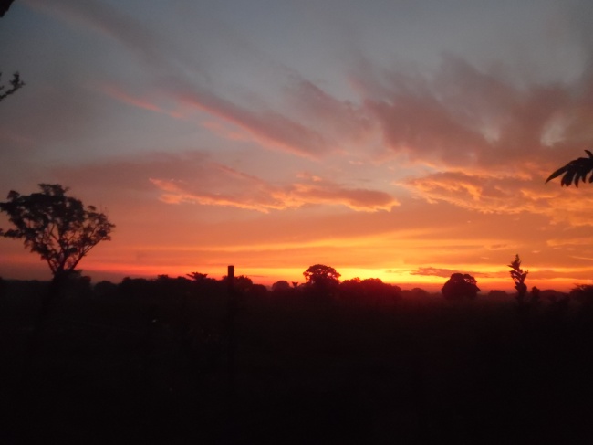 foto:VALENTINA DOMÍNGUEZ ALFARO  - lo hecho en México