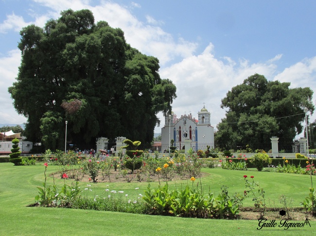 Guillermo Manuel Flores Figueroa 