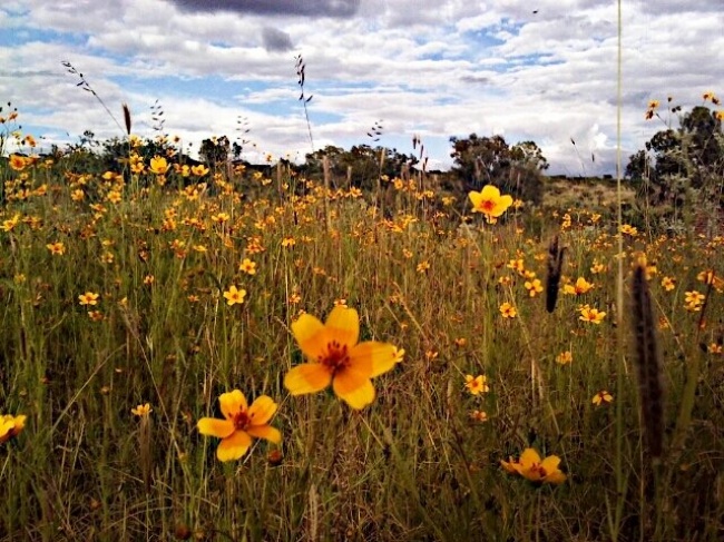 foto:Estefanía Durán Sánchez  - lo hecho en México