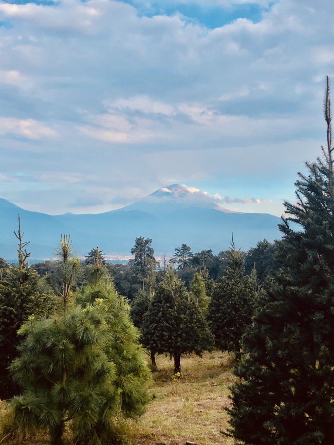 foto:Mitzi Viridiana García Alvarado  - lo hecho en México
