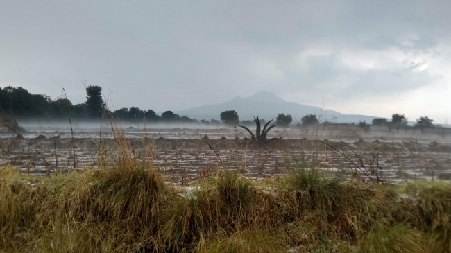 Juan Carlos Castillo 