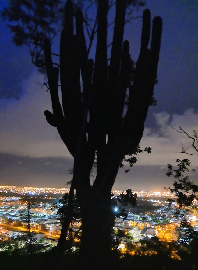 foto:Luis Antonio Martínez Peña  - lo hecho en México