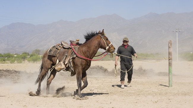 foto:Jorge Alberto Treviño Lara - lo hecho en México