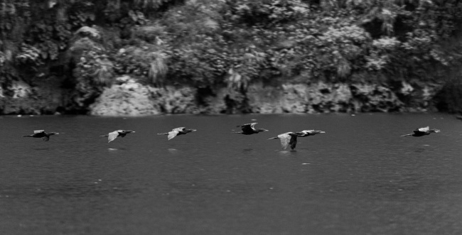 foto:SARAI LÓPEZ PARRA  - lo hecho en México