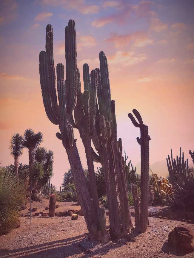foto:Judith Zapata Puebla  - lo hecho en México