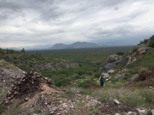 Julie Larissa Olivares Ibarra 