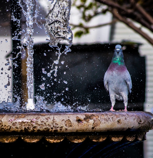 foto:Lourdes Fernanda Grajeda Moreno - lo hecho en México