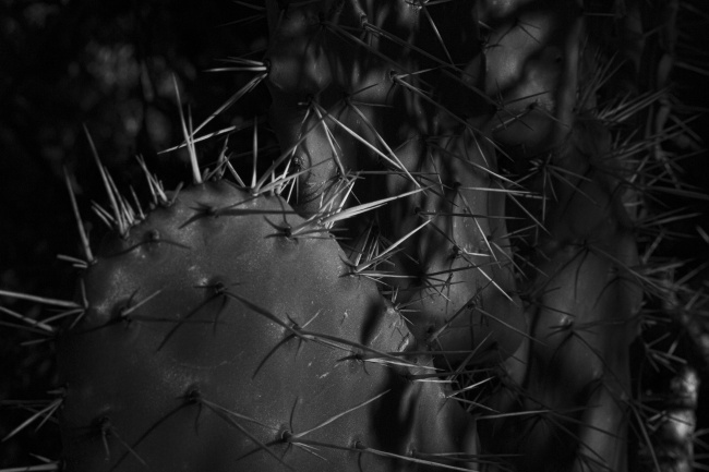 foto:SARAI LÓPEZ - lo hecho en México