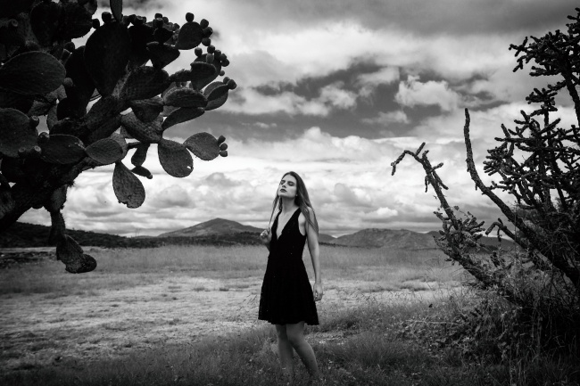 Luis Alberto Campos Lezama 