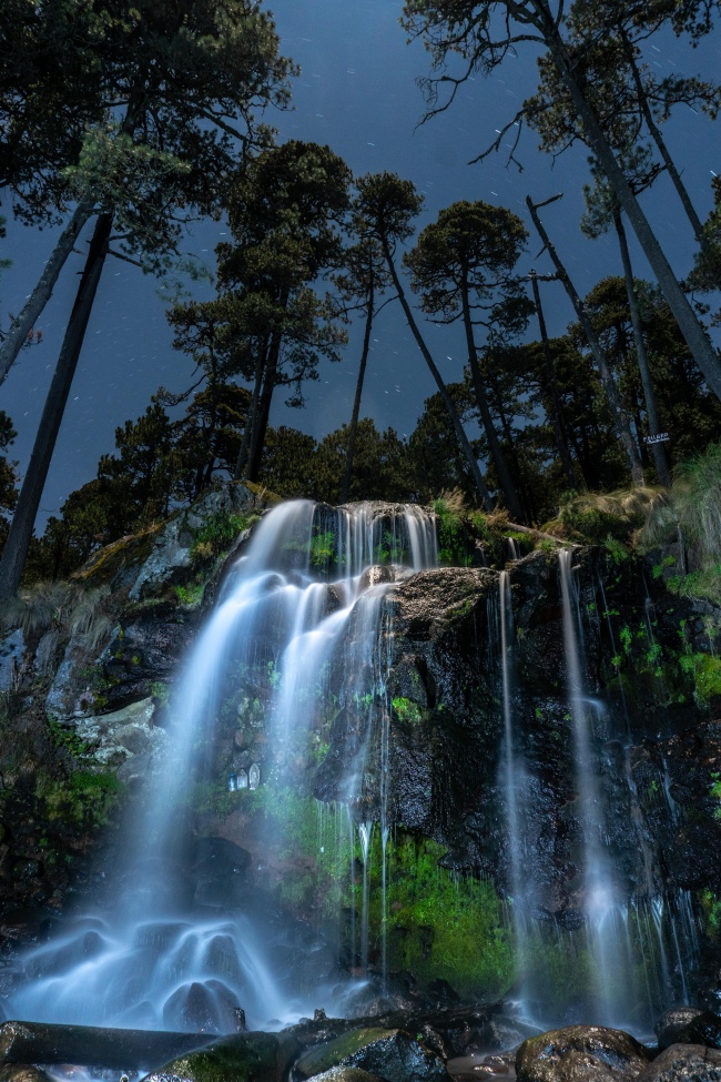 CARLOS BORJA VAZQUEZ 