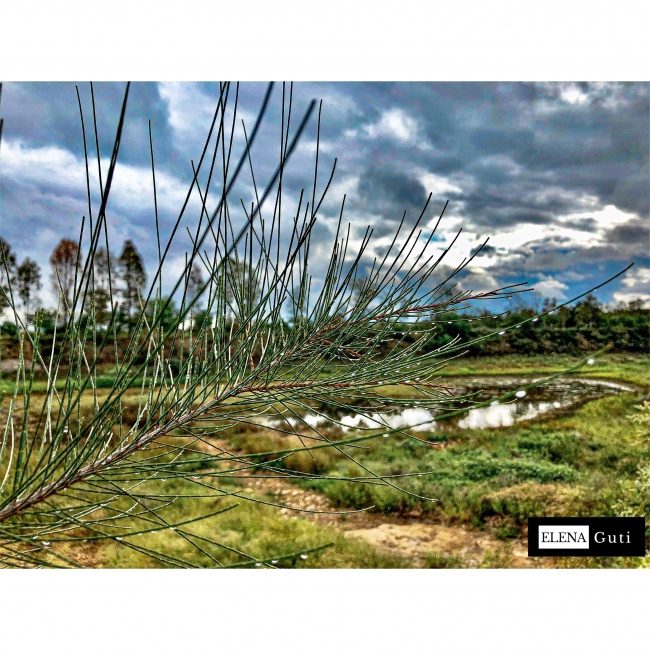 foto:Bertha Elena Gutierrez Sanchez - lo hecho en México