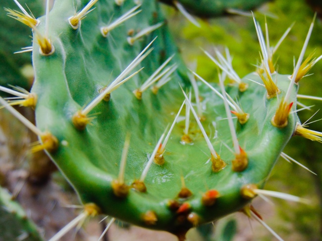 foto:Yaret Abigail Guerrero Michaca - lo hecho en México