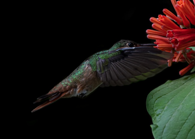 foto:Ulises León Pérez - lo hecho en México