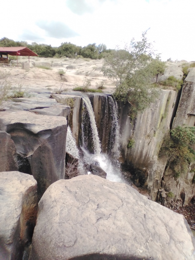 Roberto cartas Orozco 