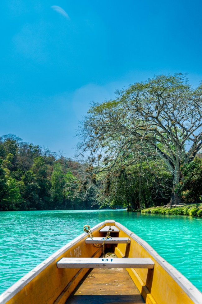 Jose Adrián Jacobo Garnica 