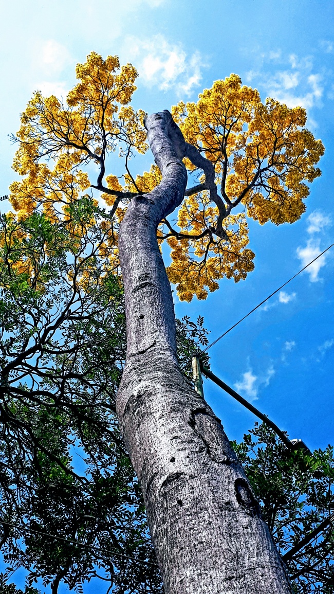foto:Juan Carlos Espinosa Vazquez - lo hecho en México