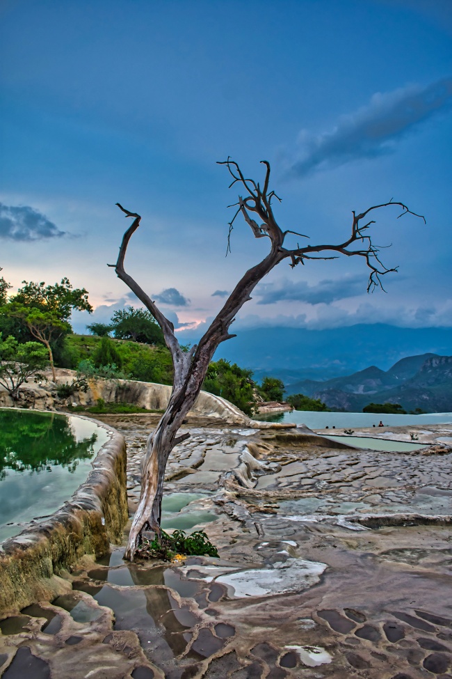 Geisler Celis Mendoza 