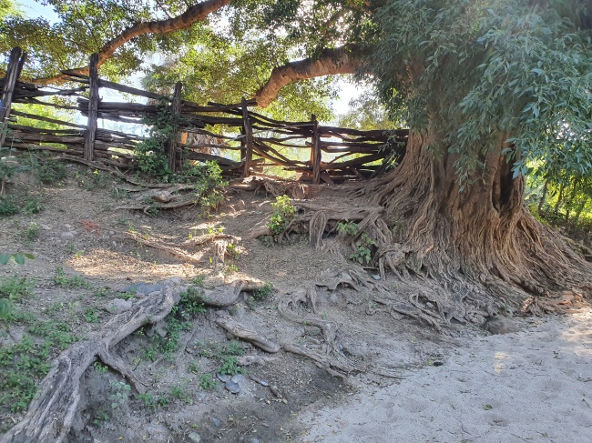 Germán Sañudo Sánchez Galán 