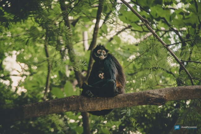 foto:juan carlos pichardo barona - lo hecho en México